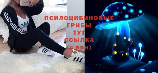 бошки Бородино