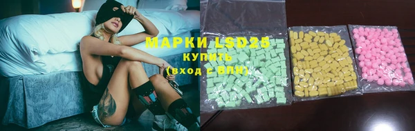 бошки Бородино