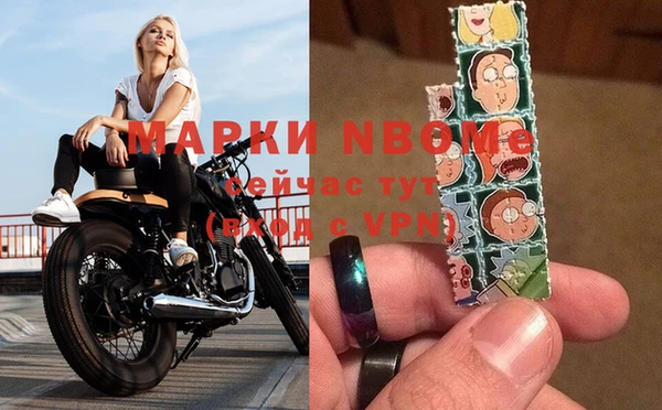 бошки Бородино