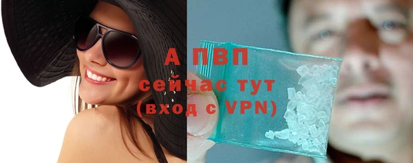 бошки Бородино