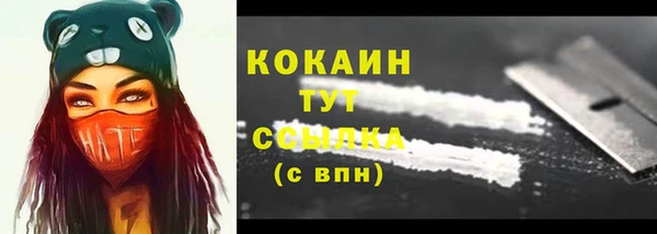 бошки Бородино