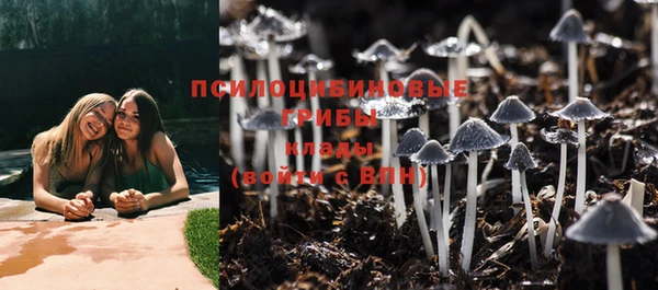 ПСИЛОЦИБИНОВЫЕ ГРИБЫ Сатка