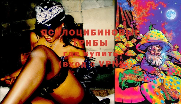 скорость Володарск