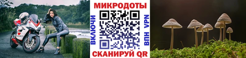 KRAKEN зеркало  Зеленокумск  Псилоцибиновые грибы GOLDEN TEACHER  хочу  